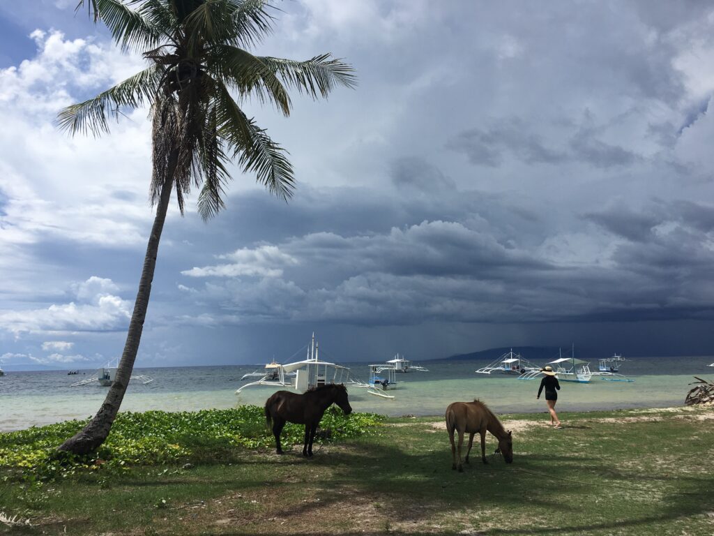 Stormy skies over a tropical ocean with palm trees and animals feeding