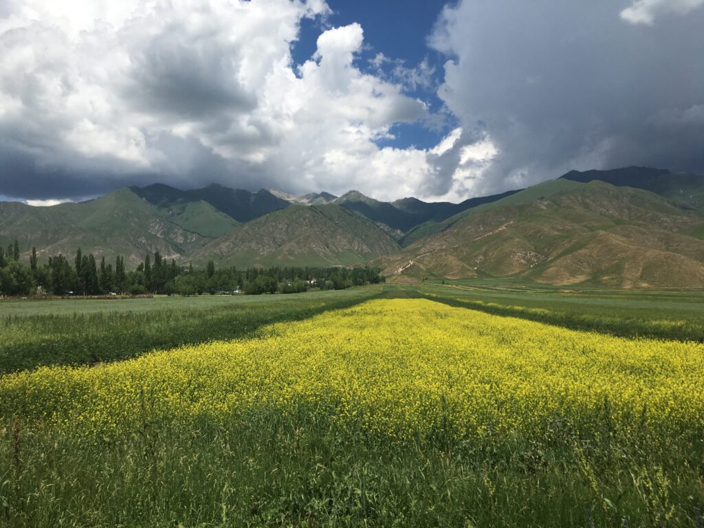 An open field with mountains in the distance, endless freedom 