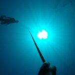 freediving on a line looking up at another freediver
