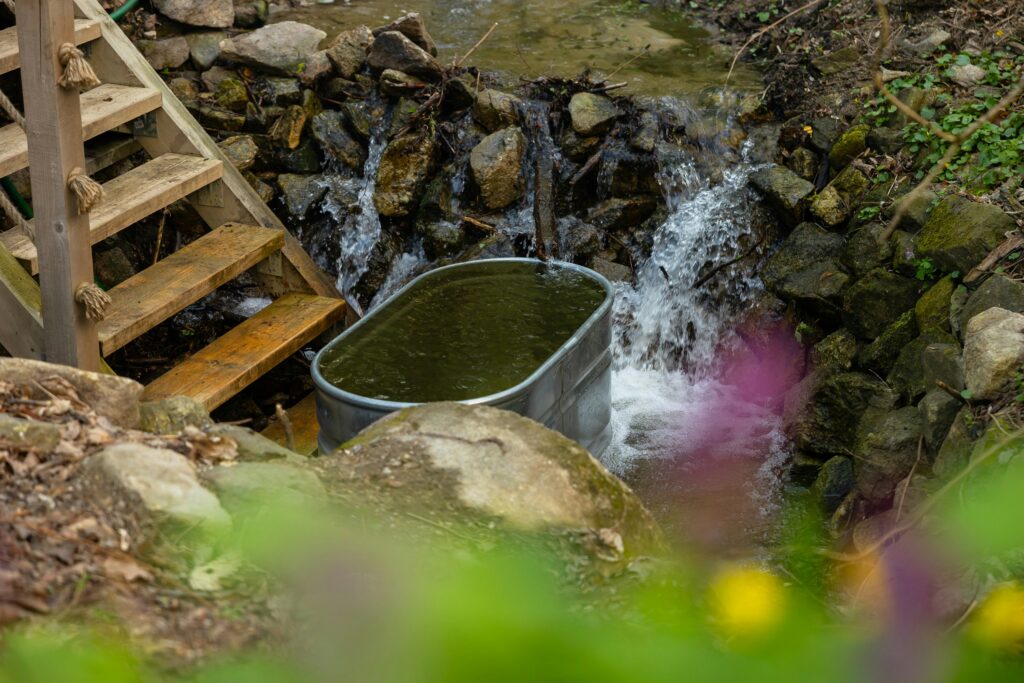 A cold plunge in secluded nature with a wooden stairs and a waterfall 