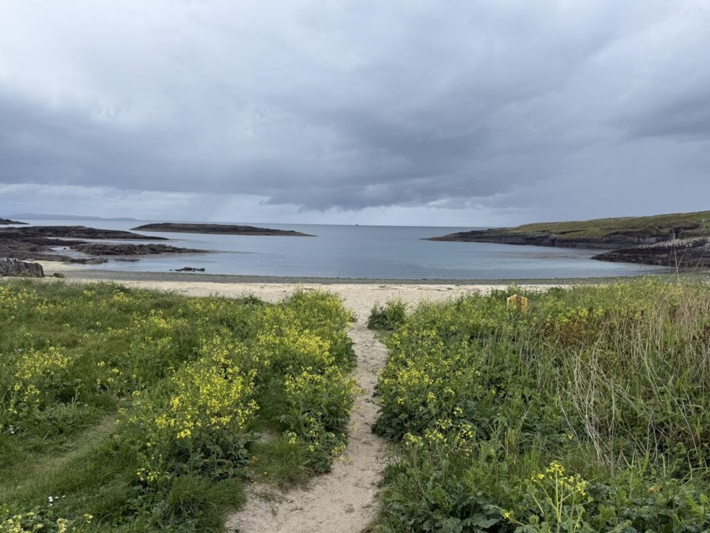 Tranquil coastal scene with green plants leading to the ocean under cloudy sky.